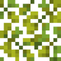 flowering_palo_verde_leaves.png