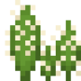 golden_spined_cactus.png