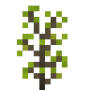 horseweed.png