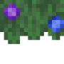 hydrangea_hedge_side.png