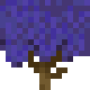 indigo_jacaranda_bush.png