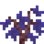 indigo_jacaranda_sapling.png