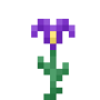 iris.png