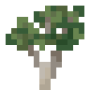 sapling.png