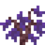 sapling.png