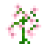 japanese_orchid.png