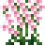 japanese_orchid_bottom.png