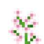 japanese_orchid_bottom_top.png
