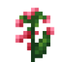 kovan_flower.png