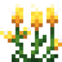 lollipop_flower.png