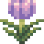 magenta_pitcher_plant_bottom.png