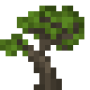 sapling.png
