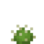 mini_cactus.png
