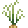 oddion_crop_stage2.png