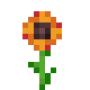 orange_daisy.png