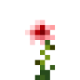 osiria_rose.png