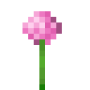 pink_allium.png