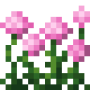 pink_allium_flower_bush.png