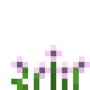 pink_anemone.png