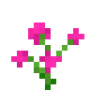 pink_orchid.png