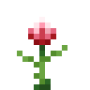 protea_flower.png