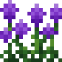 purple_amaranth.png