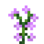 purple_sage.png