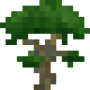 sapling.png
