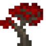 red_maple_sapling.png