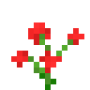 red_orchid.png