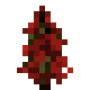 red_spruce_sapling.png