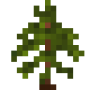 sapling.png