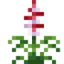 richea.png