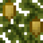 ripe_baobab_leaves.png