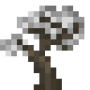 silver_maple_sapling.png