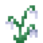 snowdrops.png