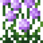 tall_allium_bottom.png