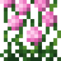 tall_pink_allium_bottom.png