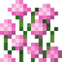 tall_pink_allium_top.png