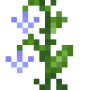 violet_leather_flower.png