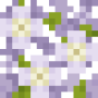 white_sakura_leaves.png