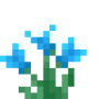 winter_cyclamen.png