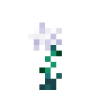 winter_rose.png