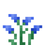 winter_scilla.png