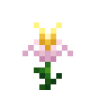 yellow_daffodil.png