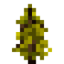 yellow_spruce_sapling.png