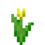 yellow_tulip.png