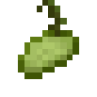 yucca_fruit_stage2.png