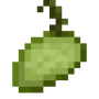 yucca_fruit_stage3.png