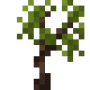 yucca_sapling.png